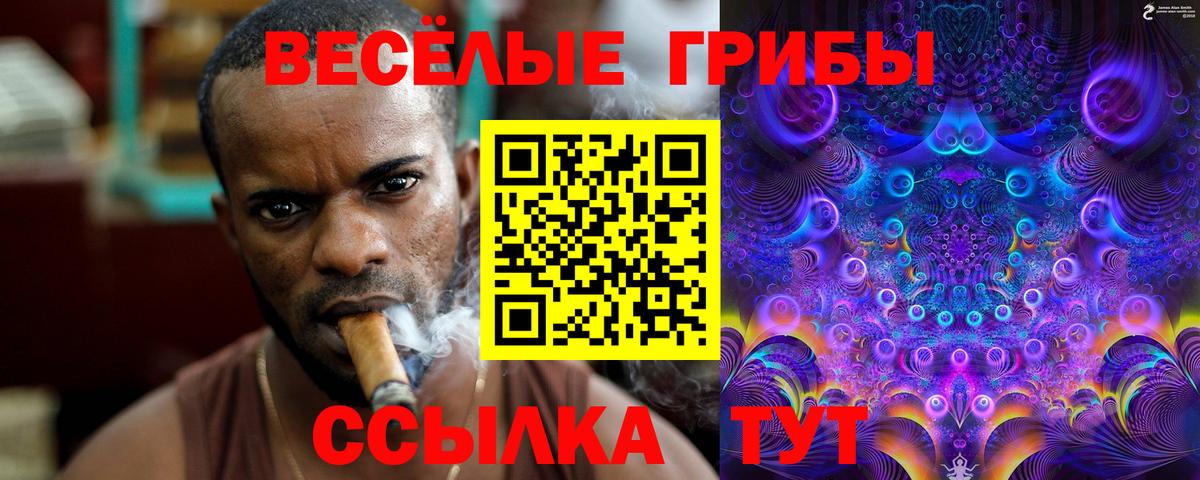 Псилоцибиновые грибы Psilocybe Урай